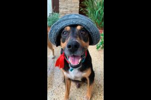 Miniatura publicación